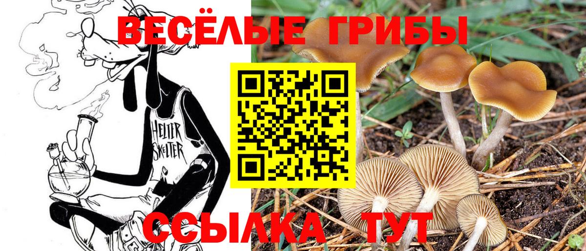 Псилоцибиновые грибы ЛСД  Вход с VPN  Прокопьевск 