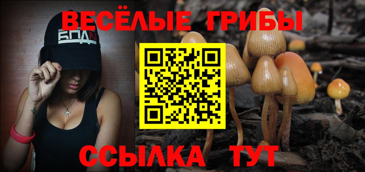 Псилоцибиновые грибы ЛСД Прокопьевск